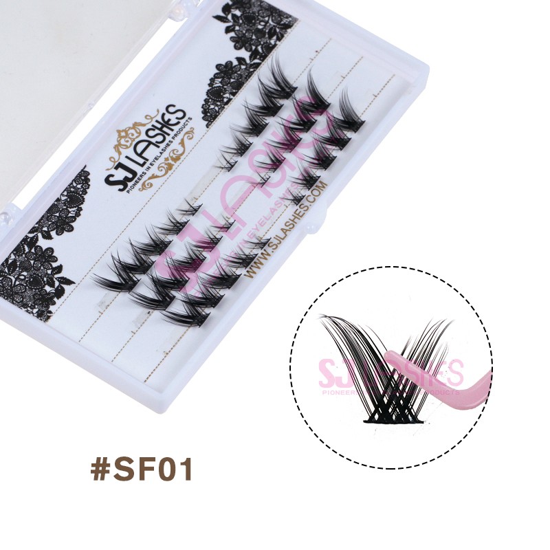 #SF01-2.jpg