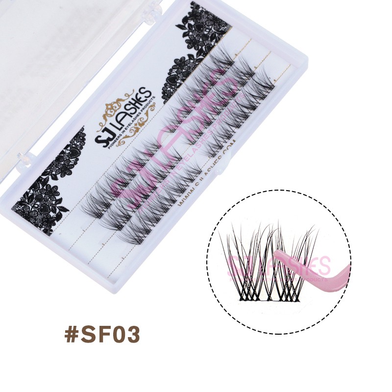 #SF03-2.jpg