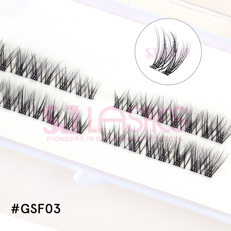 #GSF03.jpg