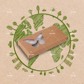 Low Minimum Lash Box #SN03