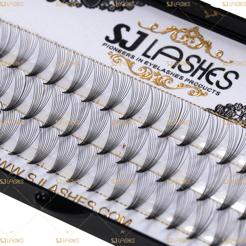 10D Wide Fan Lashes