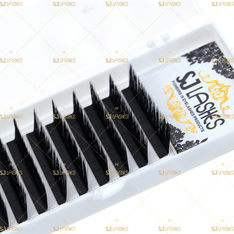 L Curl Classic& Volume Eyelash Extensions