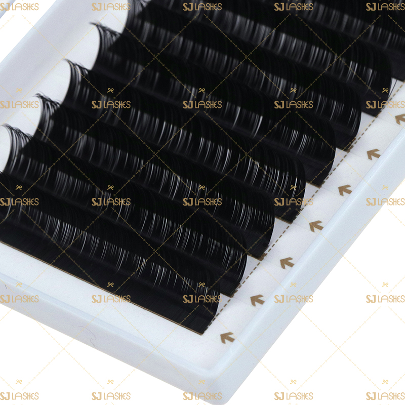 LC Curl Classic& Volume Eyelash Extensions