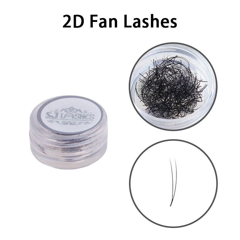 2D Fan Lashes
