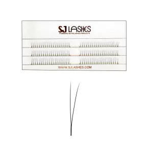 2D Narrow Fan Lashes