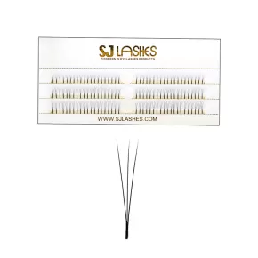 3D Narrow Fan Lashes