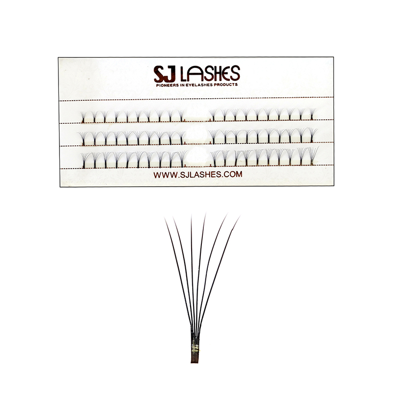 6D Narrow Fan Lashes