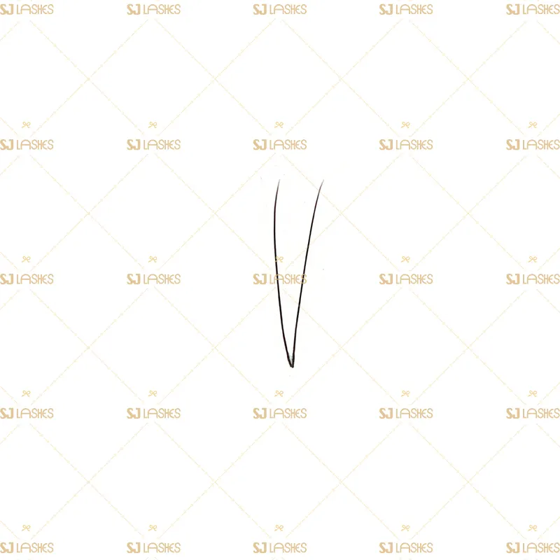 2D Wide Fan Lashes with Short Steam Middle Tape