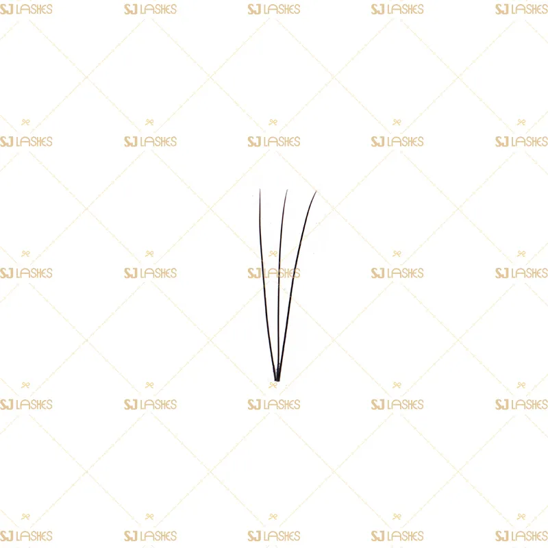 3D Wide Fan Lashes with Short Steam Middle Tape