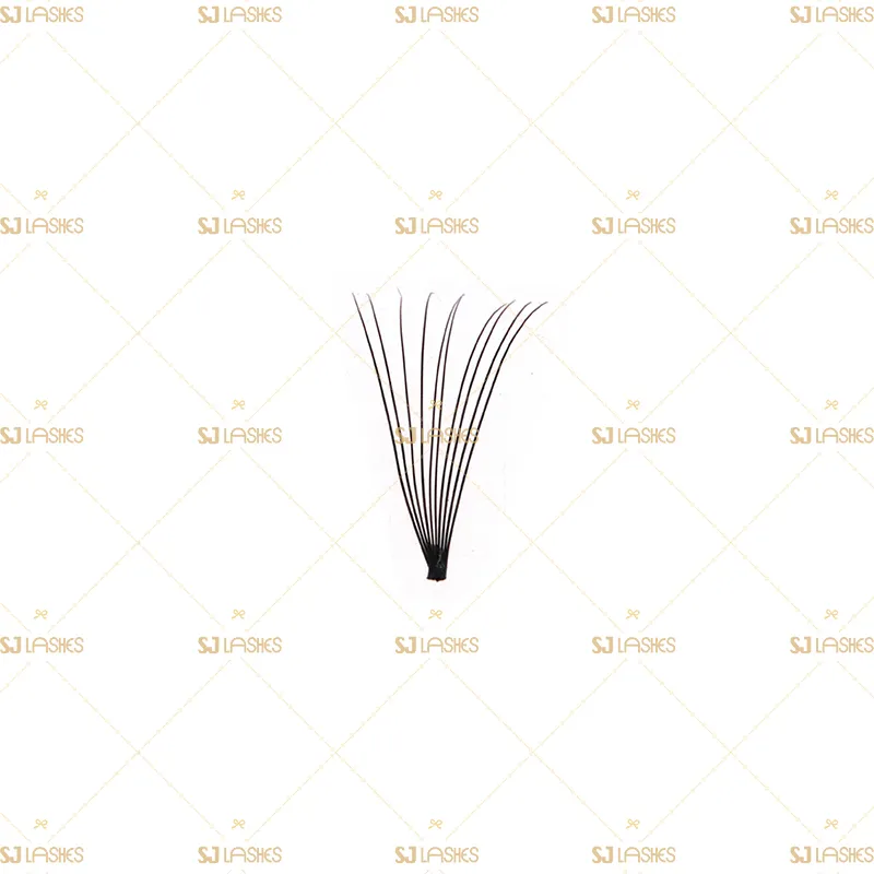 10D Wide Fan Lashes with Short Steam Middle Tape
