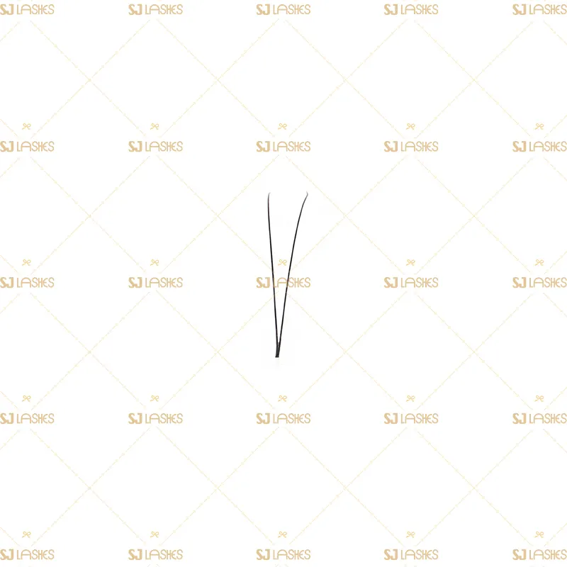 2D Wide Fan Lashes with Long Steam Roots Tape