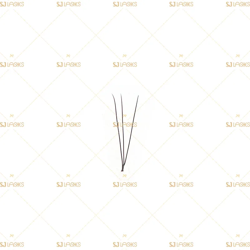 3D Wide Fan Lashes with Long Steam Roots Tape