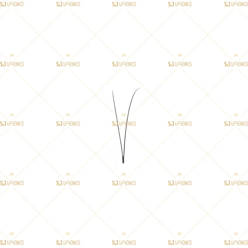 2D Narrow Fan Lashes with Long Steam Roots Tape