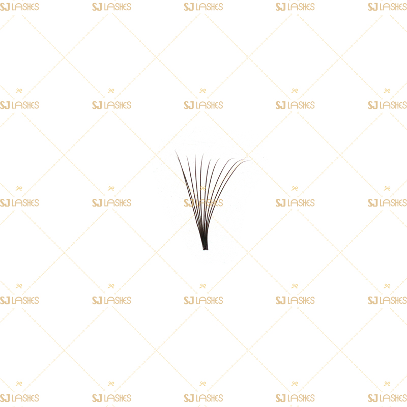 10D Pointed Base Fan Lashes