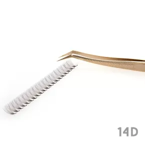 14D Pointed Base Fan Lashes