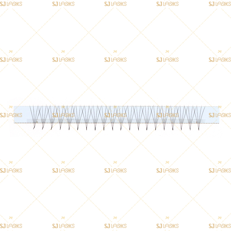 4D L Curl Fan Lashes