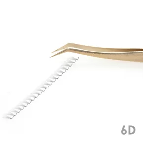 6D L Curl Fan Lashes