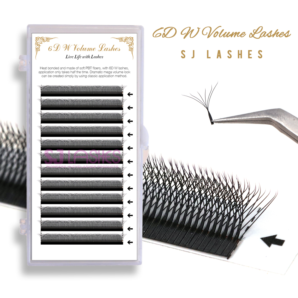 Private Label Lash Package for 6D W Volume Eyelashes