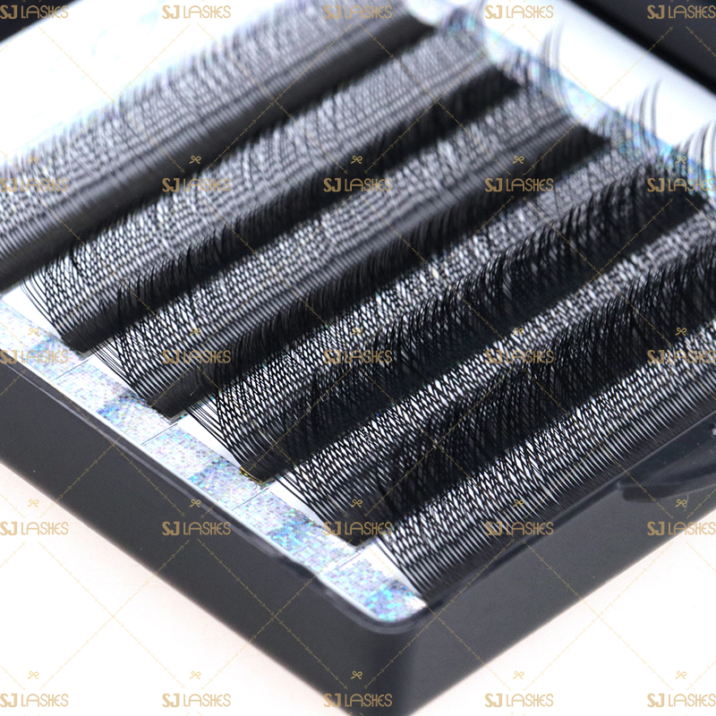 YY Volume Lashes