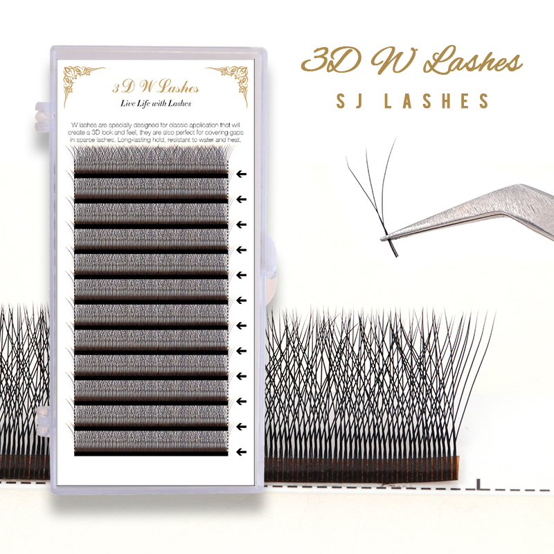 3D W Lashes