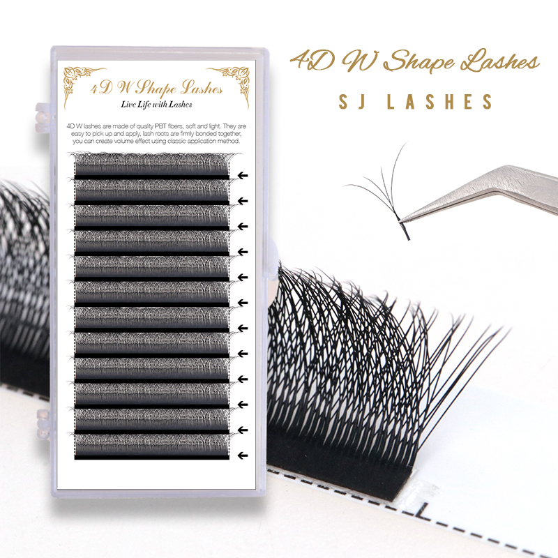 4D W Shape Lashes