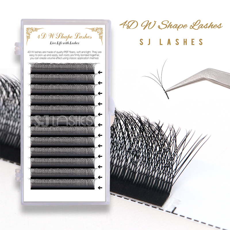 4D W Shape Lashes