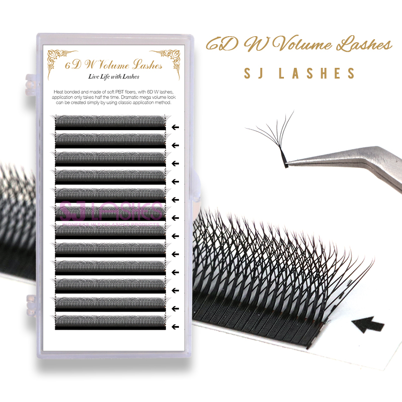 6D W Volume Lashes