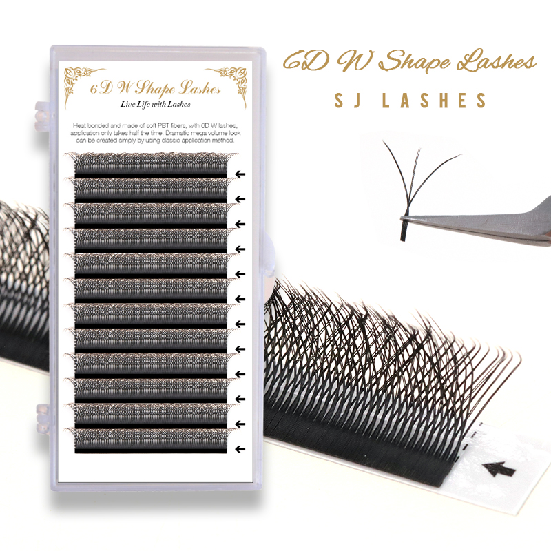6D W Shape Lashes