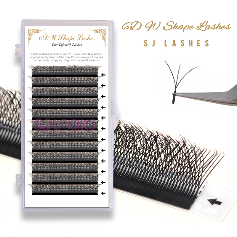 6D W Shape Lashes
