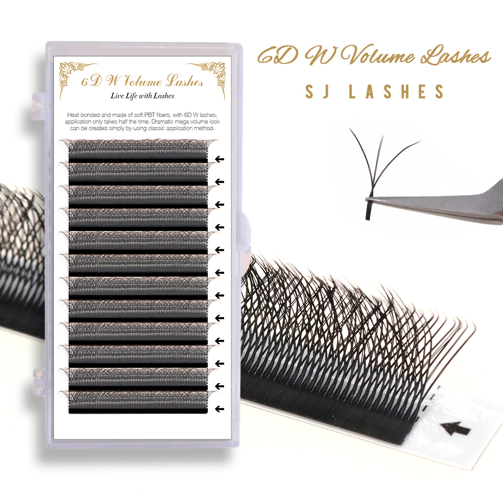 6D W Volume Lashes