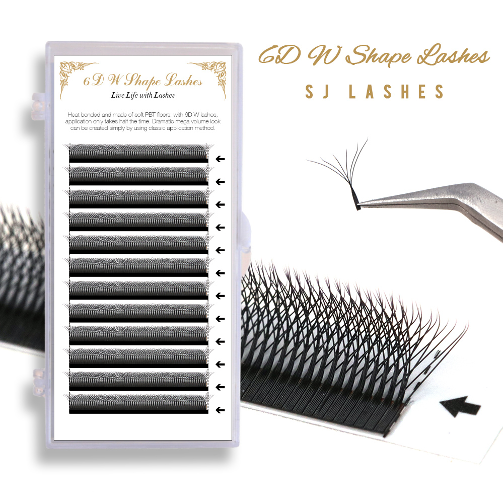 6D W Shape Lashes