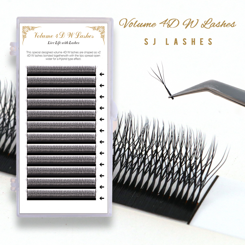 Volume 4D W Lashes