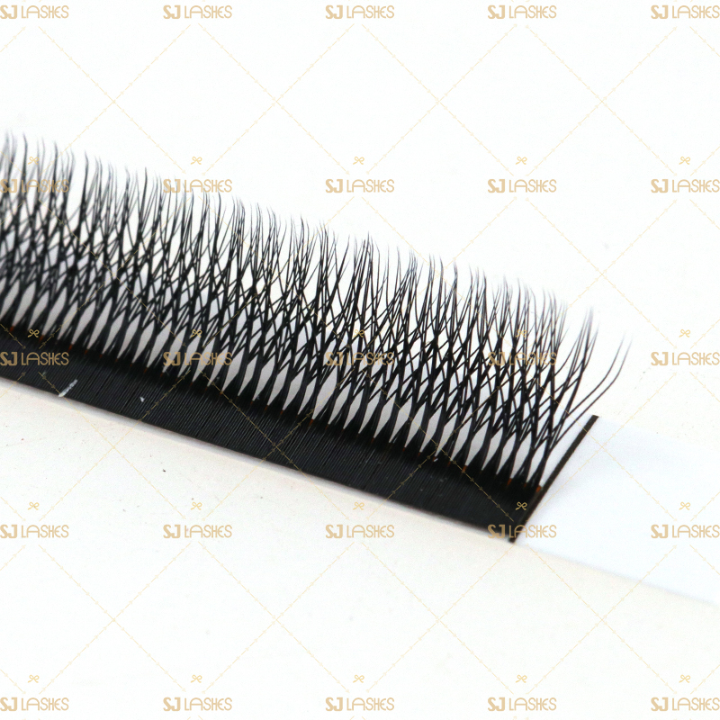 Volume 4D W Lashes