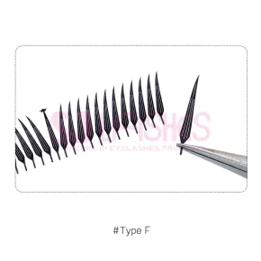 Anime Pre-made Fan Lashes #Type F