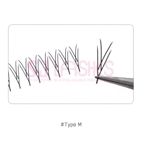 Anime Pre-made Fan Lashes #Type M